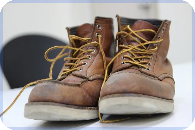 착한임대인신청으로 세금혜택 받는 방법 알아보기