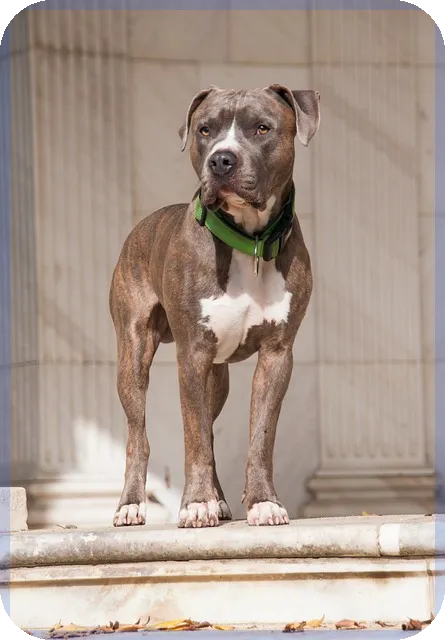 청약과열지구란 무엇인가 빠르게 이해하는 방법