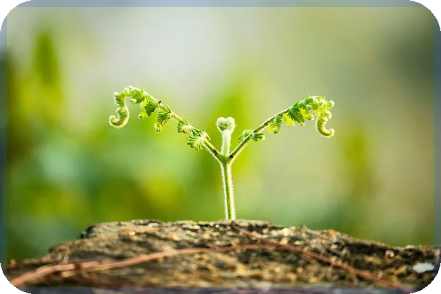 파워로직스주가 변동성과 전망 분석