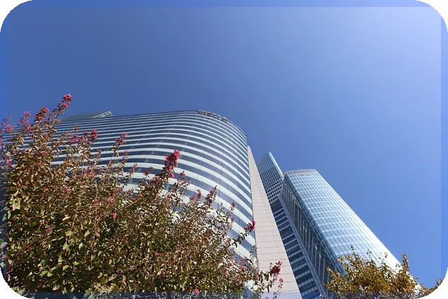 핌스주가 전망과 성장 가능성 분석