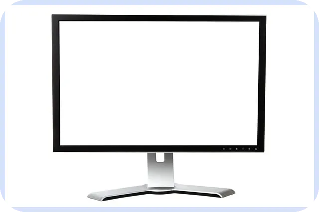 핌스주가 전망과 성장 가능성 분석