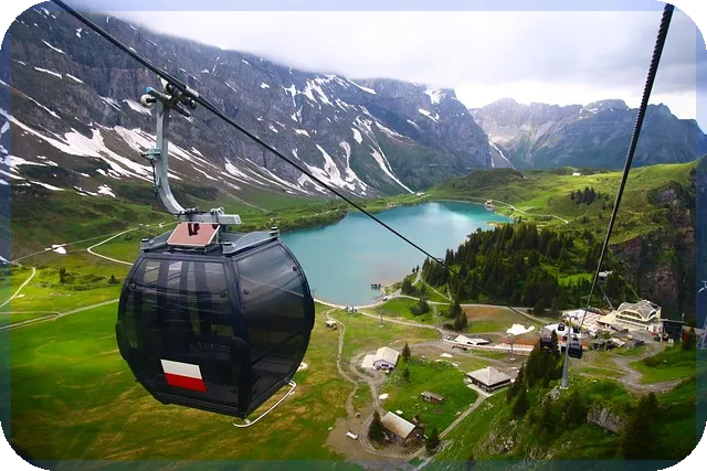 허위매물 중고차 피해 방지와 대응 전략