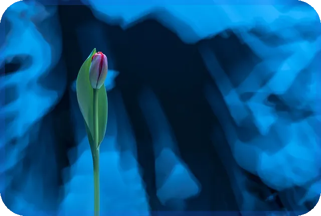 헤지펀드 투자 전략과 리스크 완전 정복