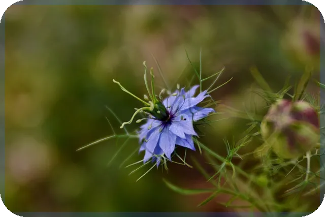 현대리바트주가 상승과 전망 분석 바로 알기