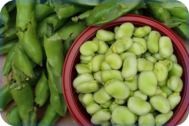 NH직장인대출V로 쉽고 안전한 대출 받기 방법