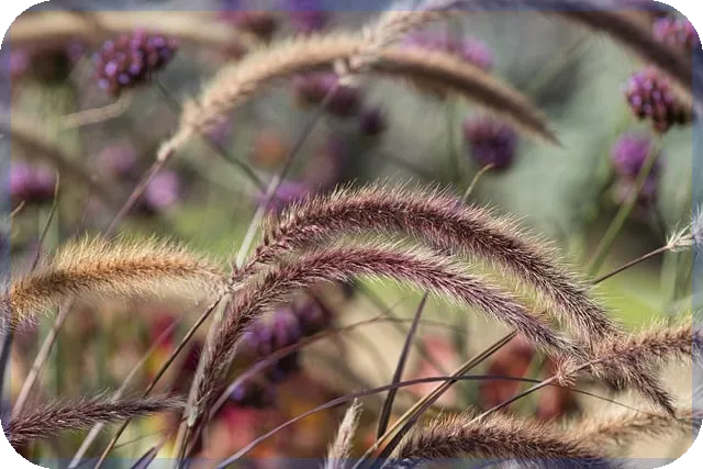 NH직장인대출V로 쉽고 안전한 대출 받기 방법