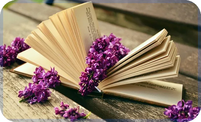 경기도재난지원금 신청과 사용법 완전정복