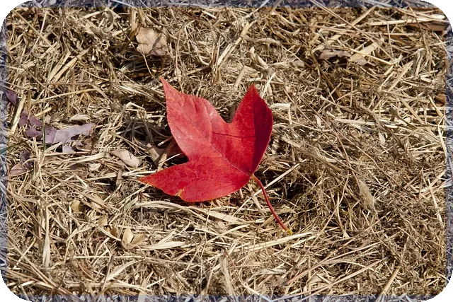 경기도재난지원금 신청과 사용법 완전정복