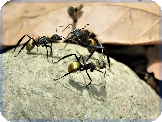 대출계산기 원리금균등으로 대출 상환 계획 세우기
