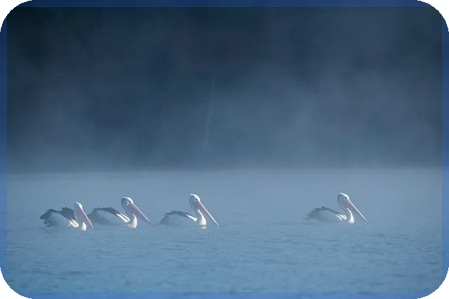 대출계산기 체증식으로 이자 부담 줄이는 방법은 무엇인가