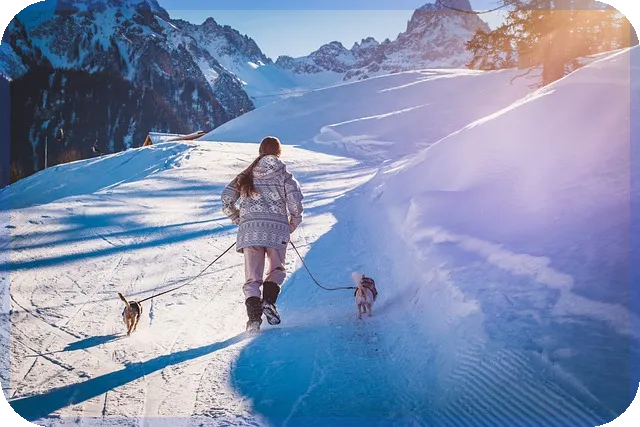 대출금계산기와 중도상환 수수료 완전 정복