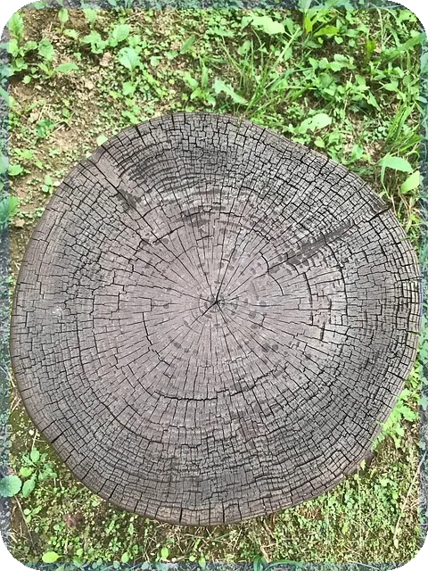 덴탈마스크관련주 투자 전략과 주가 전망 분석