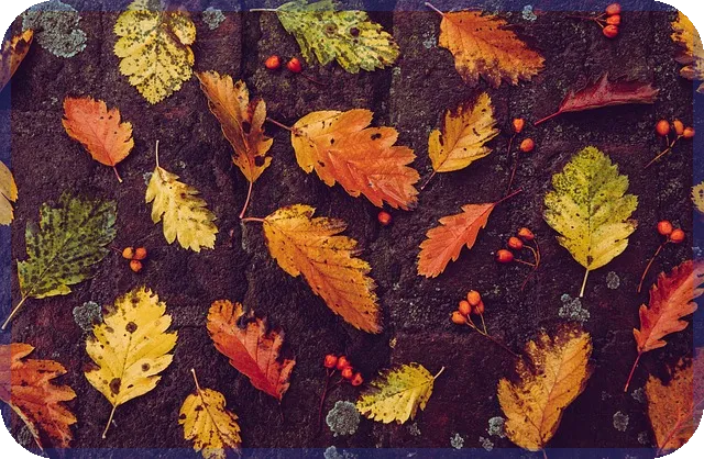 디딤돌 대출자격 조건과 혜택 총정리