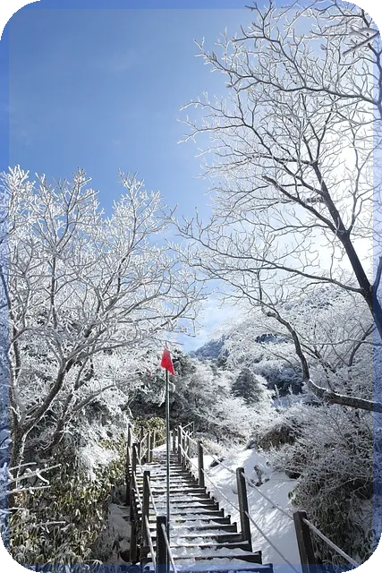 디딤돌대출 보금자리론 차이와 비교 분석