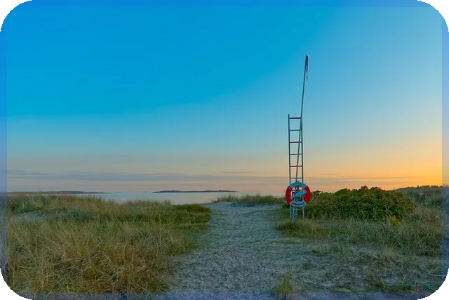 루미마이크로주가 상승 원인과 향후 전망 분석