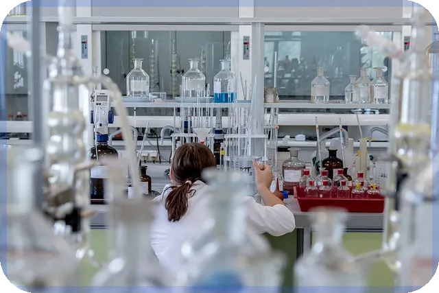 루미마이크로주가 상승 원인과 향후 전망 분석