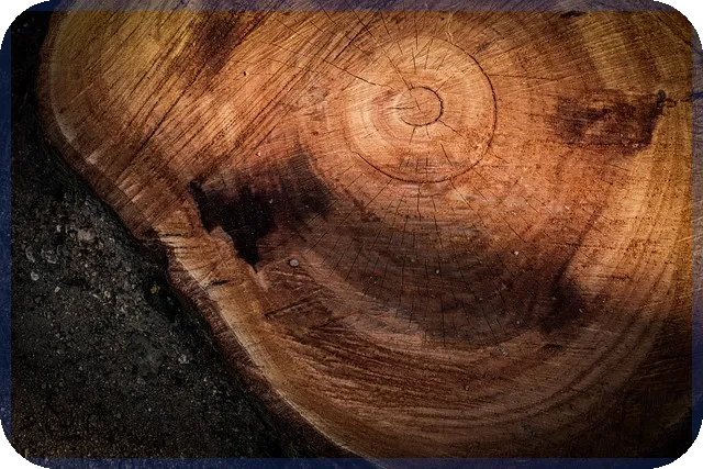 송원산업주가 전망과 성장가능성 분석 궁금하지 않나요