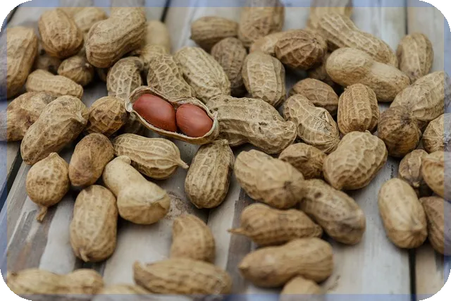 신생아 특례 대출 중도상환 혜택 극대화하는 방법은?