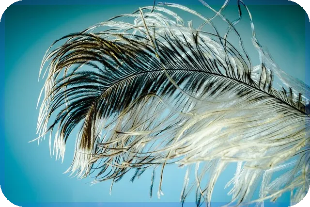 신생아 특례 대출 후기 완전 정리 핵심 포인트는?