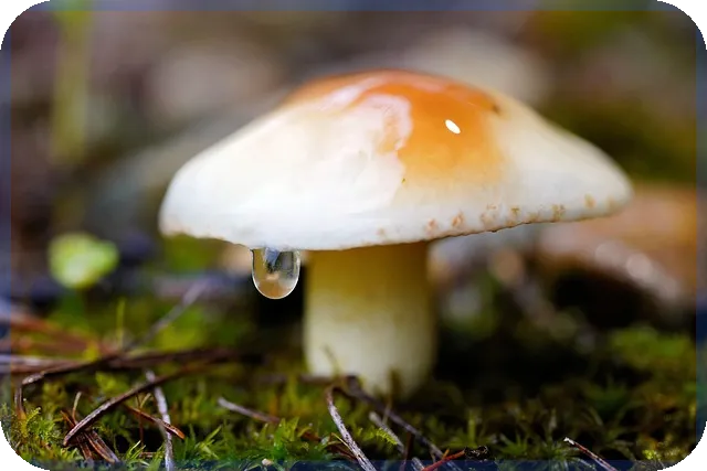 아주스틸주가 재무악재와 성장전망 분석