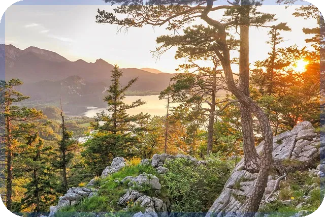 아파트 전세대출 금리비교 사이트로 최저금리 찾기