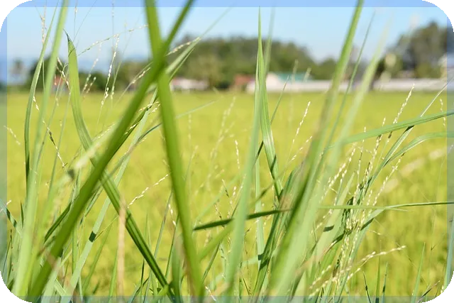 안성이편한세상그랑루체 입주청소 필수 시공먼지 제거 비법