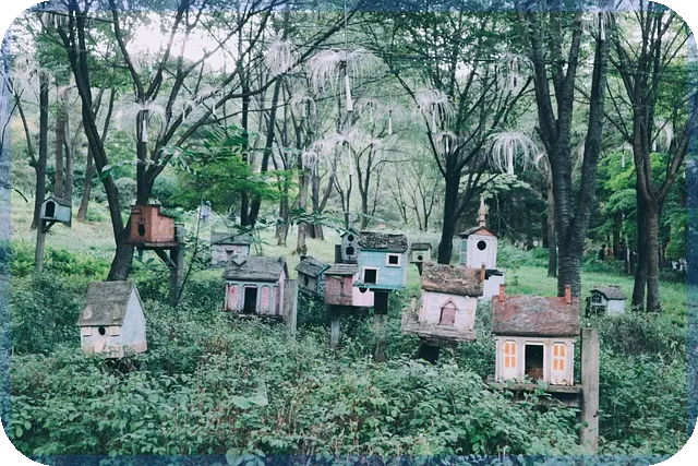 안성이편한세상그랑루체 입주청소 필수 시공먼지 제거 비법