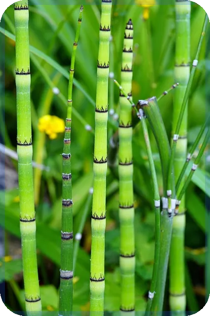 안성이편한세상그랑루체 입주청소 필수 시공먼지 제거 비법