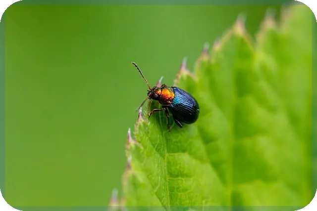 압타머사이언스주가 급변, 성장세와 전망은 어떨까