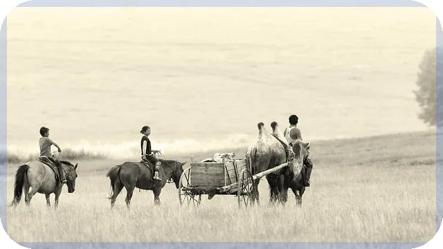 연대보증 위험성과 최신 규제 변화 분석