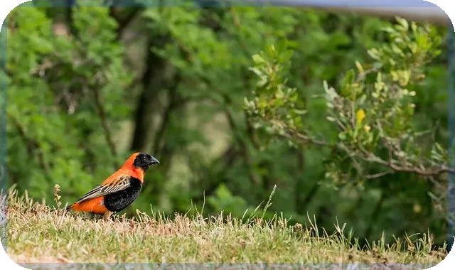 전국은행연합회 대출모집인 윤리 규정과 등록 관리 총정리
