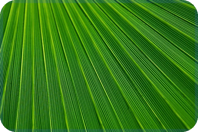 전세자금대출 2억 조건과 신청법 알아보기