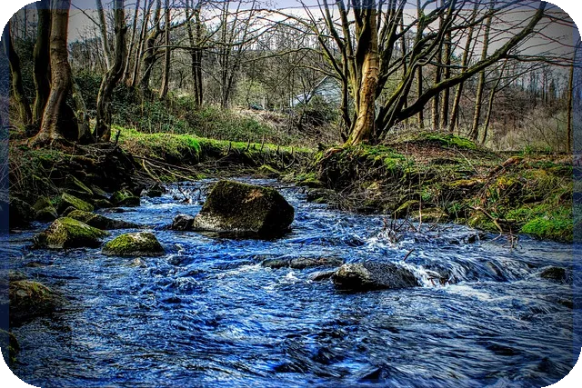청담동오피스텔 매물과 투자 전략 분석
