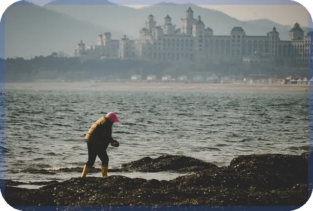 청주더샵그리니티 입주 분석과 투자 전략