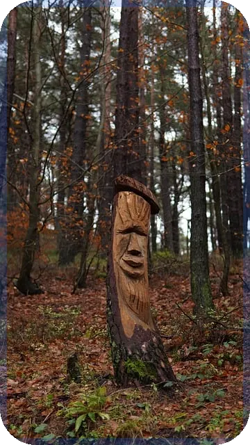 큐라클주가 급등 배경과 미래 전망은 무엇인가