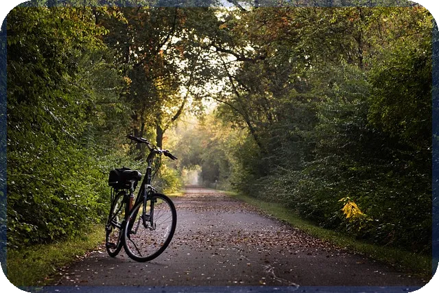 포항아이파크 입주 임박 신규 대규모 아파트 인기 요인 분석