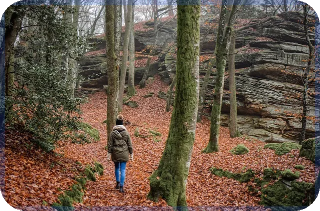 화성조암서희스타힐스 분양정보와 입지환경 분석