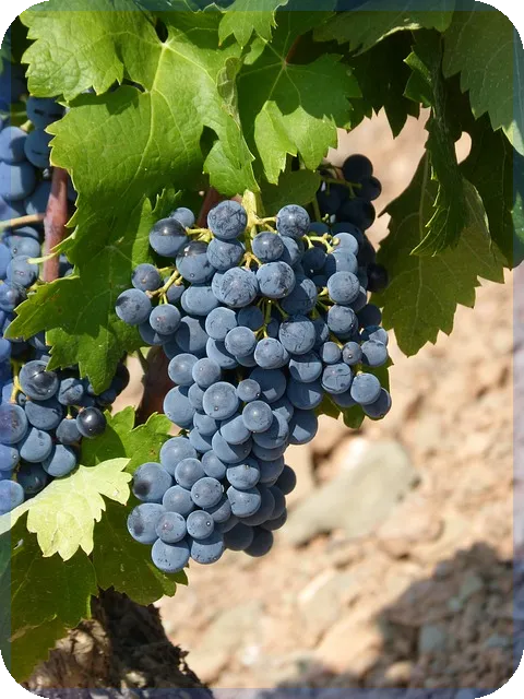 1억 주택담보대출 이자 계산 쉽게 하는 법