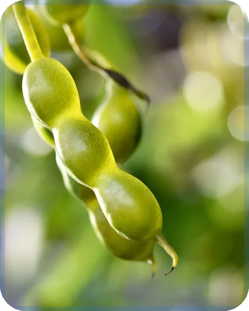 대출계산기 활용법으로 이자 부담 절약하는 방법