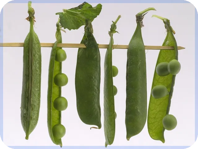 대출계산기 활용법으로 이자 부담 절약하는 방법