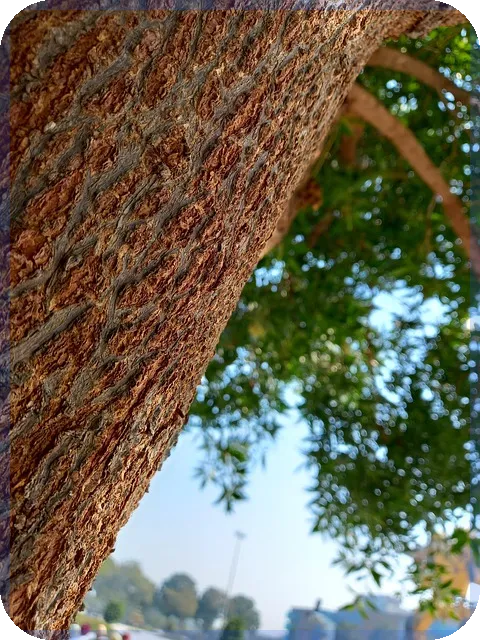 대출계산기 활용법으로 이자 부담 절약하는 방법