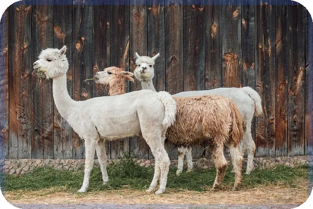 대출계산기 활용법으로 이자 부담 절약하는 방법