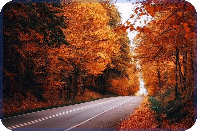 동원제일저축은행동원YES론P 대출 조건과 한도 알아보기