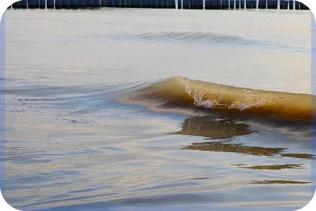 디딤돌대출 청약통장 납입횟수로 자산형성의 꿈 이루기