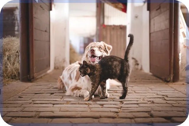 버팀목전세자금대출 목적물변경 전입신고 체크리스트