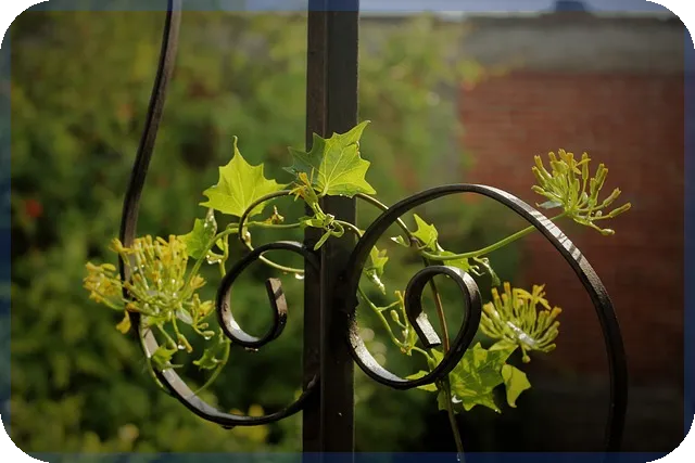 비상금대출 카카오 조건과 한도는?