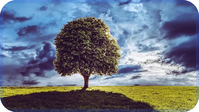 신생아대출 대환 방공제 활용법으로 혜택 최대화하기