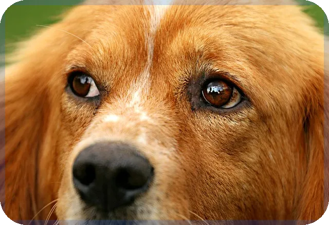 신생아대출 대환 조건과 소득기준 알아보기