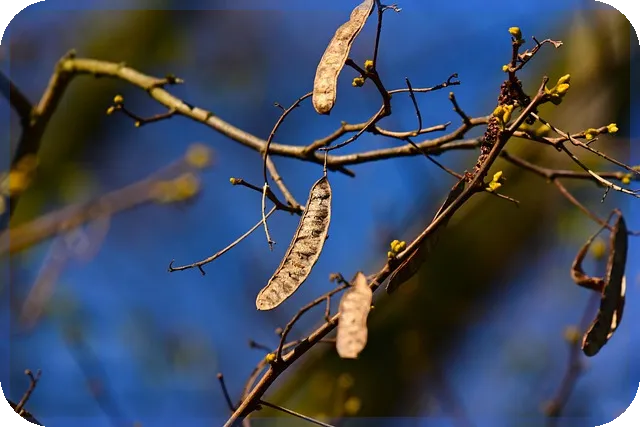 전세대출 연말정산 서류 준비 어떻게 할까