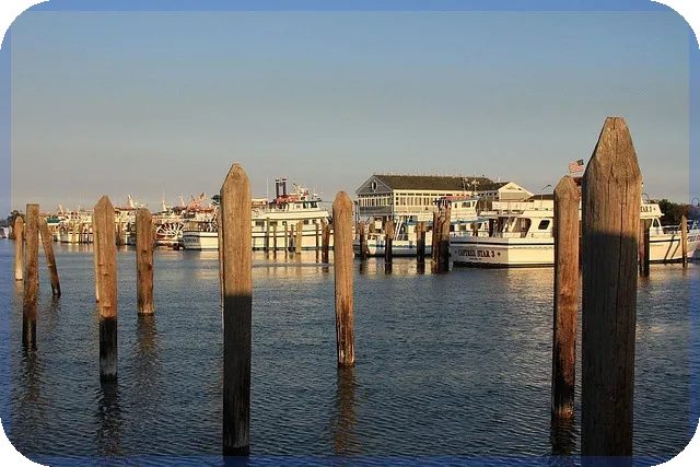 전세사기 피해자 대출 DSR 적용 방법은?